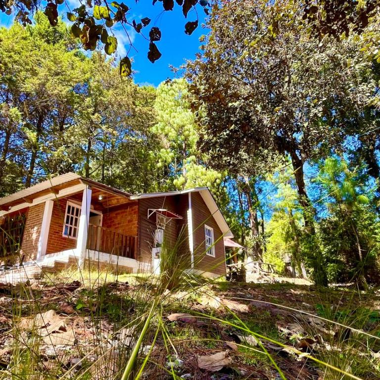 Relajante y Cálida con WIFI y free E Familiar - Two-Bedroom House - 1