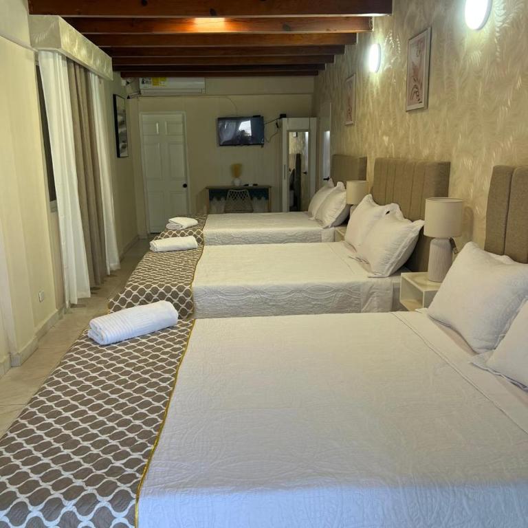 HNH Hotel Luxury Experiencia Vip - Habitación Familiar - 3