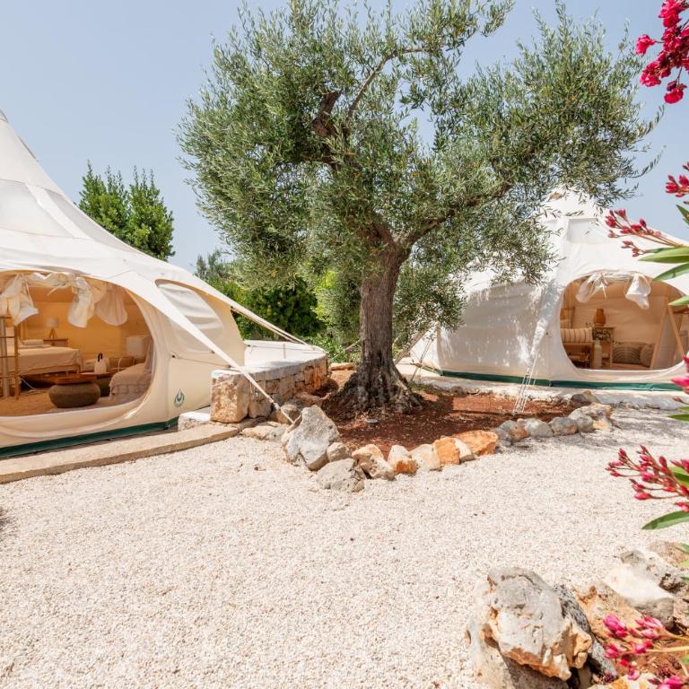 VILLA OSTUNI ONE mit Pool, Gästehaus & Glamping - Villa - 18
