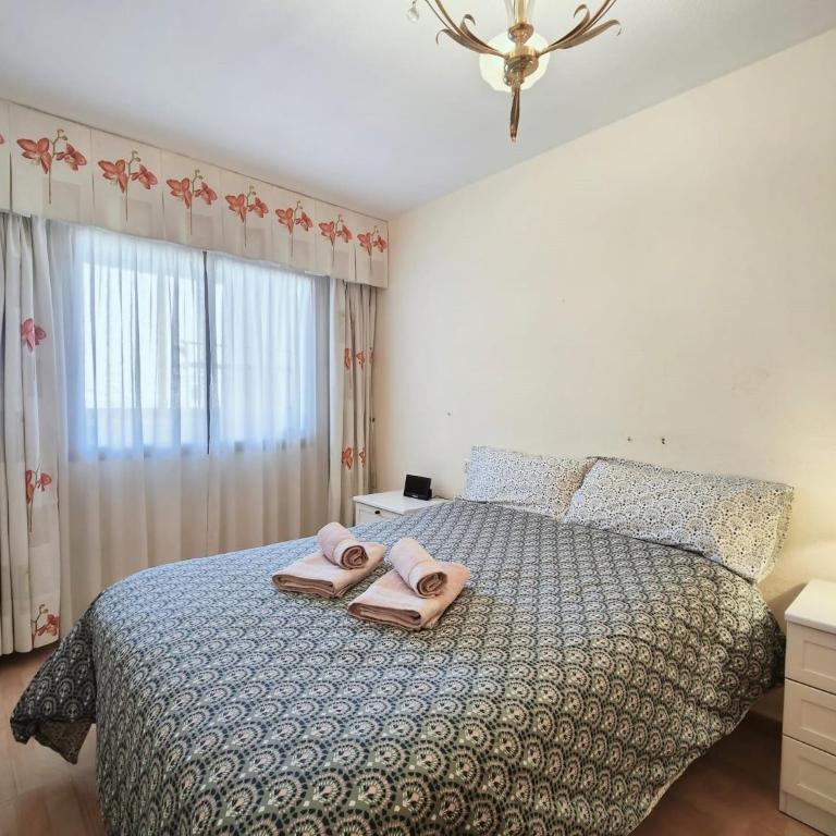 Jardin Botanico 3 Danuria - Three-Bedroom Apartment - 18