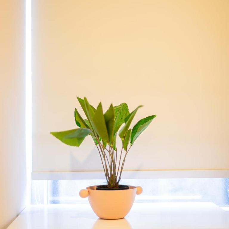Downtown Vibes Studio Apt w Gym & Grill - Apartamento - 7
