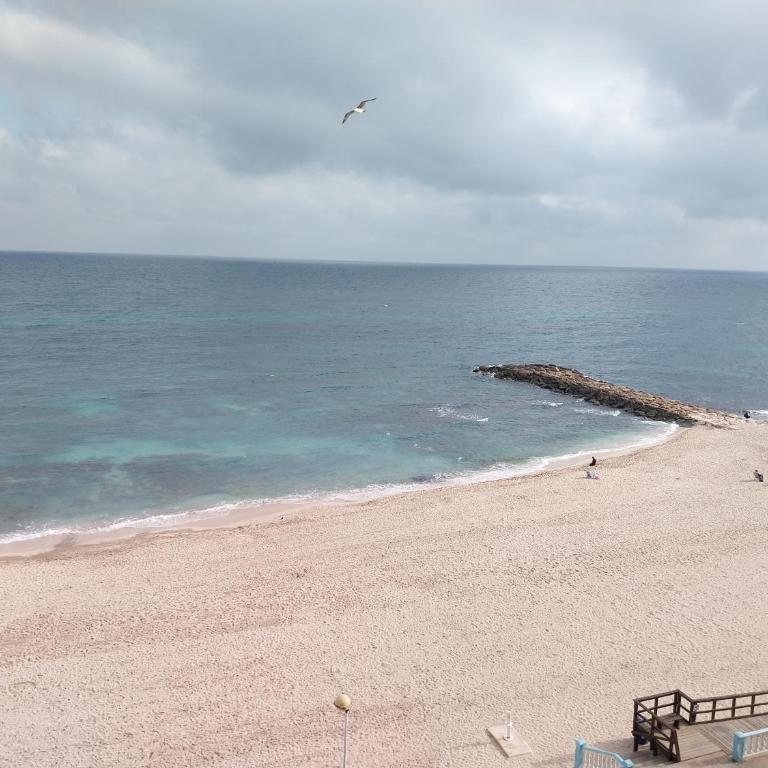 Playa apartamento - Two-Bedroom Apartment - Oceanfront - 49