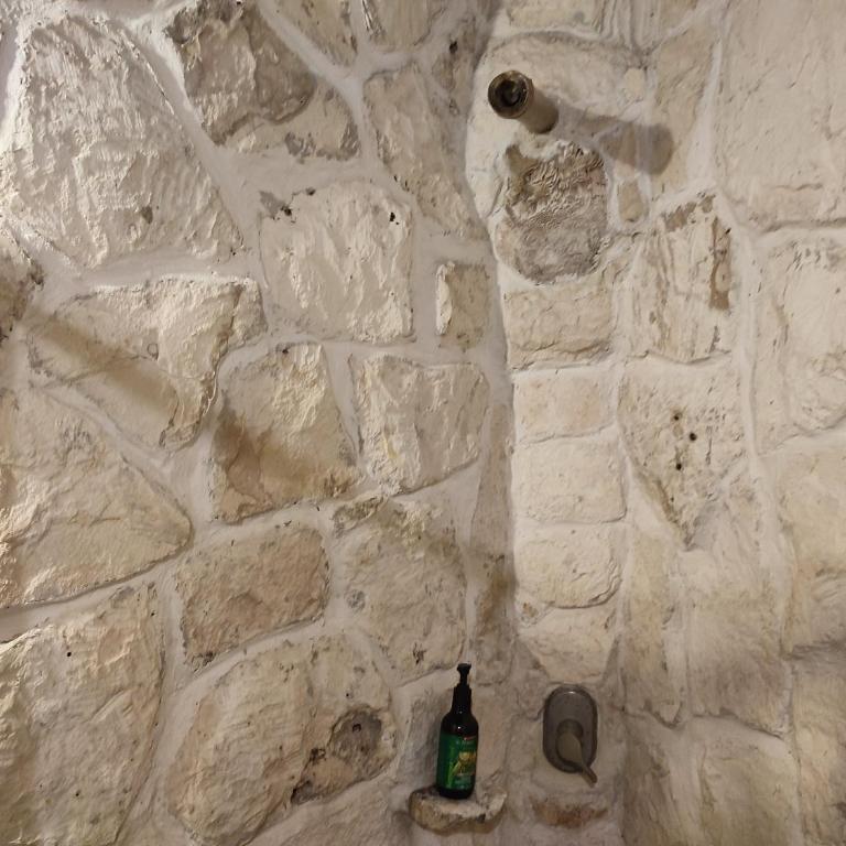 Aldea Maya-Ha Cabañas con cenotes - Cottage with Garden View - 9