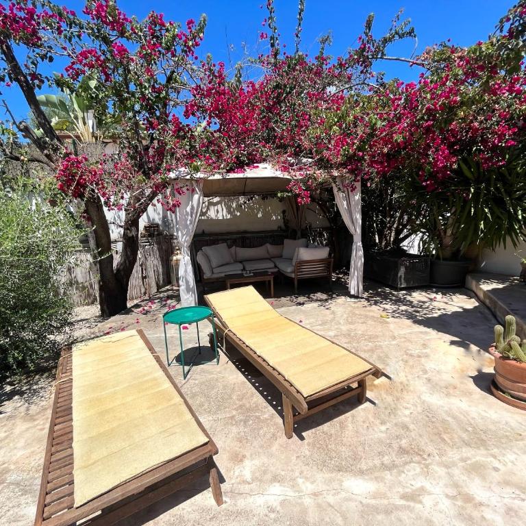 Casa Limón - Casa de 3 dormitorios - 7