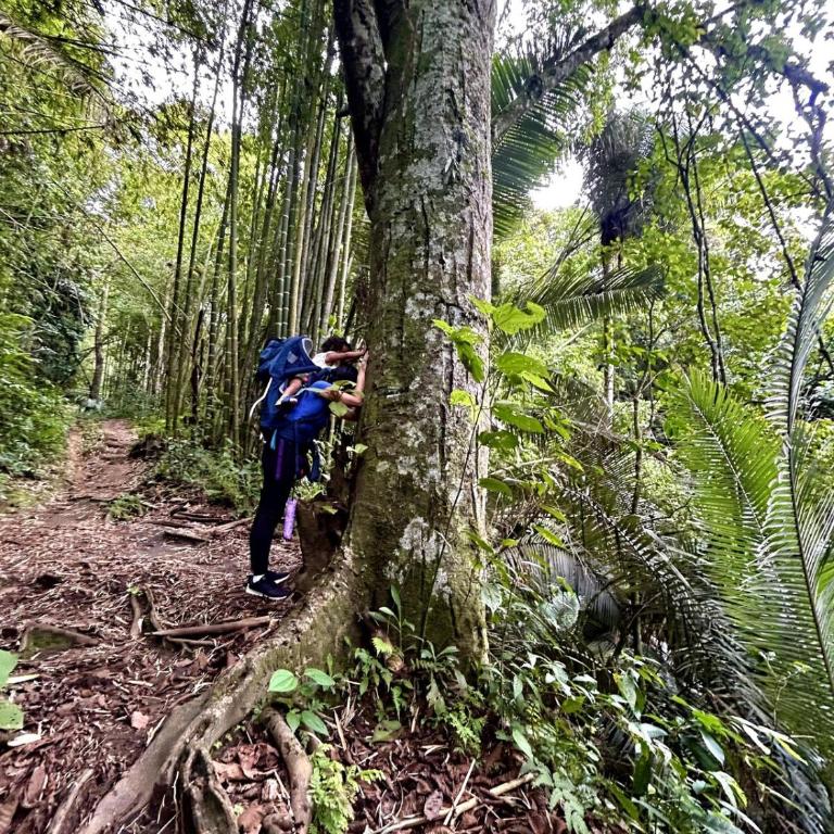 Mi Bohío Trekking - Casa de 3 dormitorios - 29