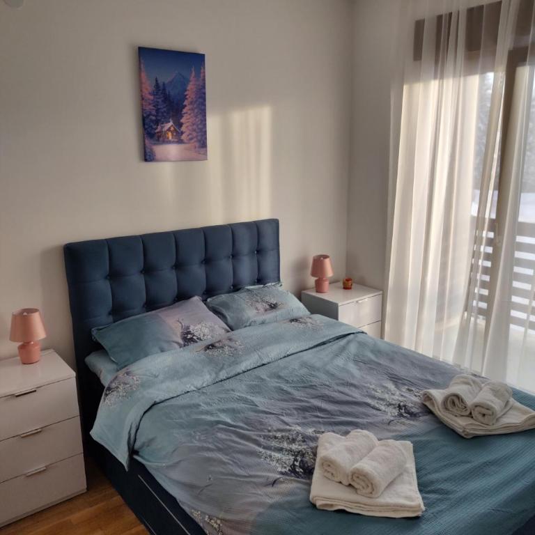 Ilic Prestige wellness & spa Zlatibor - Apartman sa 1 Spavaćom Sobom - 6