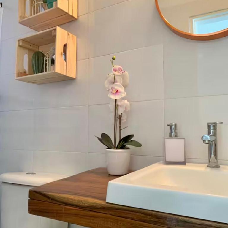 Harbour House by Palermo Home Santa Marta - Suite Estándar - 10