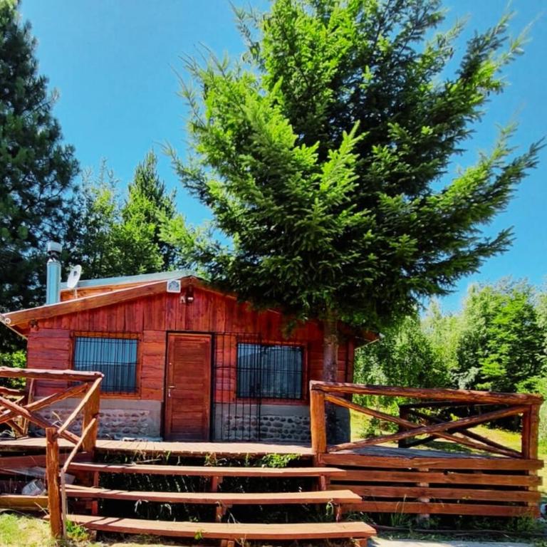 WenuMapu - Apartamento de 2 dormitorios - 1