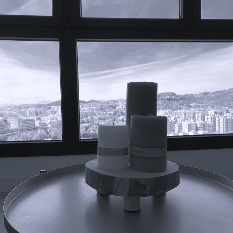 Skyline Málaga Center, Luxury, Planta 20 - Apartamento de 1 dormitorio - 34