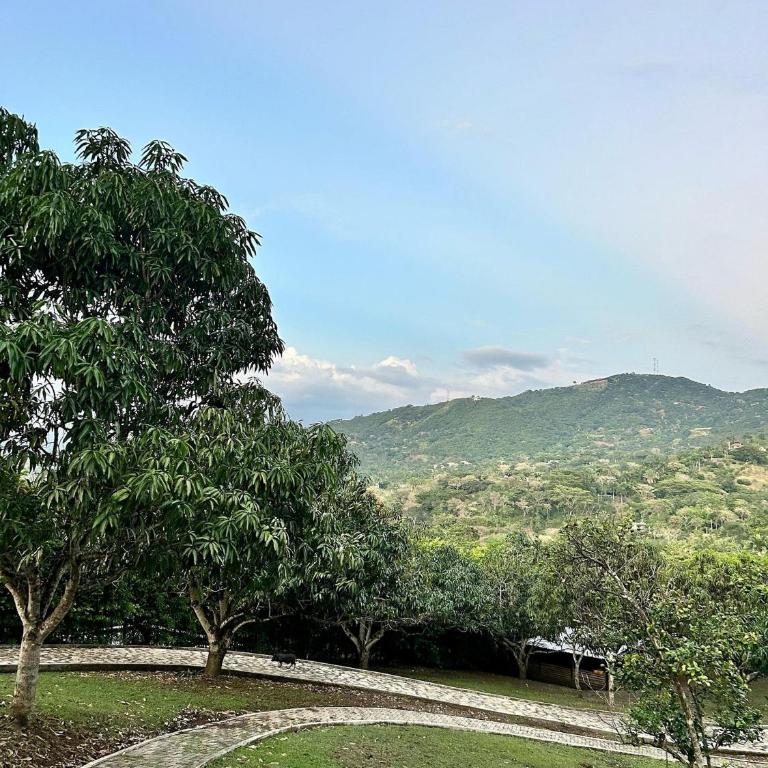 Descanso total en el mejor clima de Colombia - Villa - 38