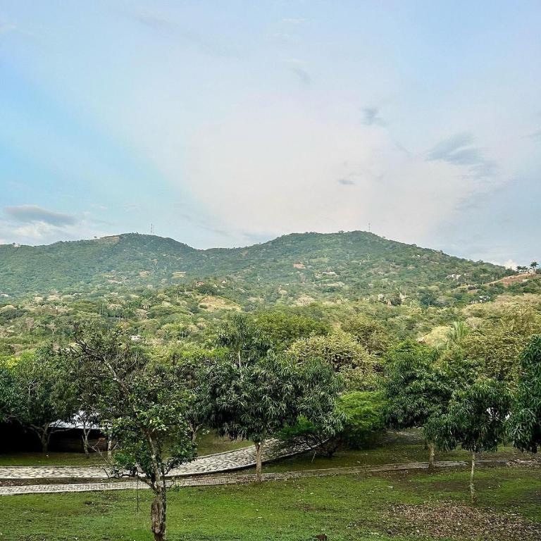 Descanso total en el mejor clima de Colombia - Villa - 39