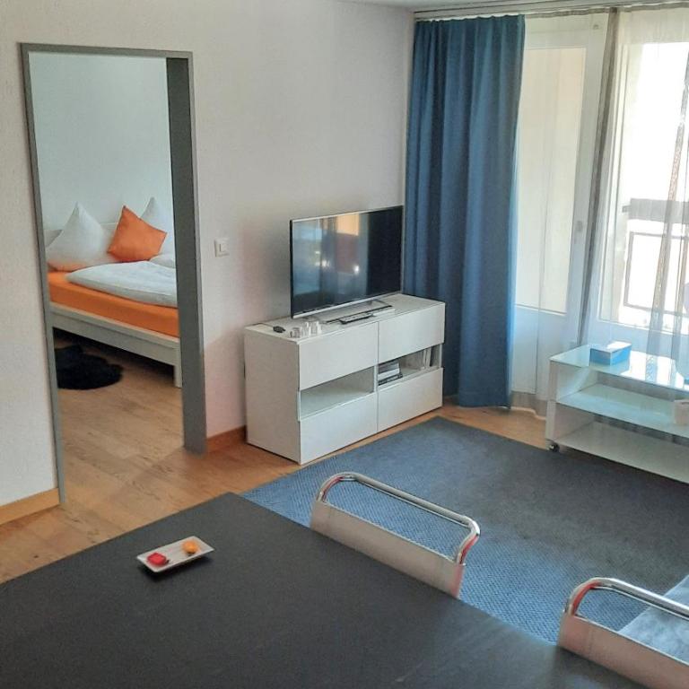 Holiday accommodation - swimming pool available - Apartment mit Blick auf die Berge - 8
