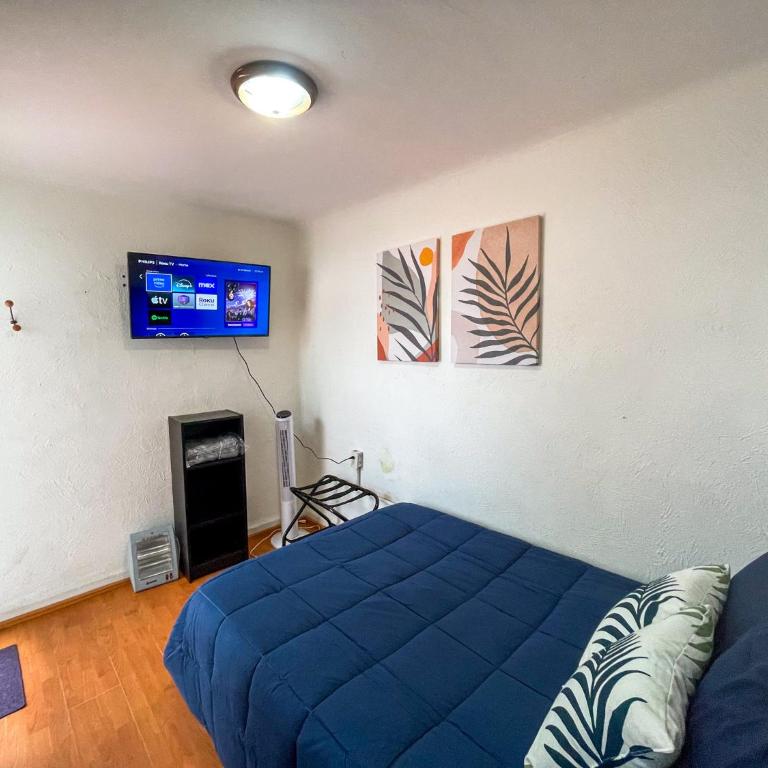 Charming 2BR Vintage Terrace in Condesa - Apartamento de 2 dormitorios con terraza - 13