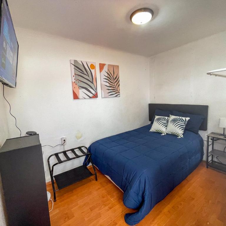 Charming 2BR Vintage Terrace in Condesa - Apartamento de 2 dormitorios con terraza - 15