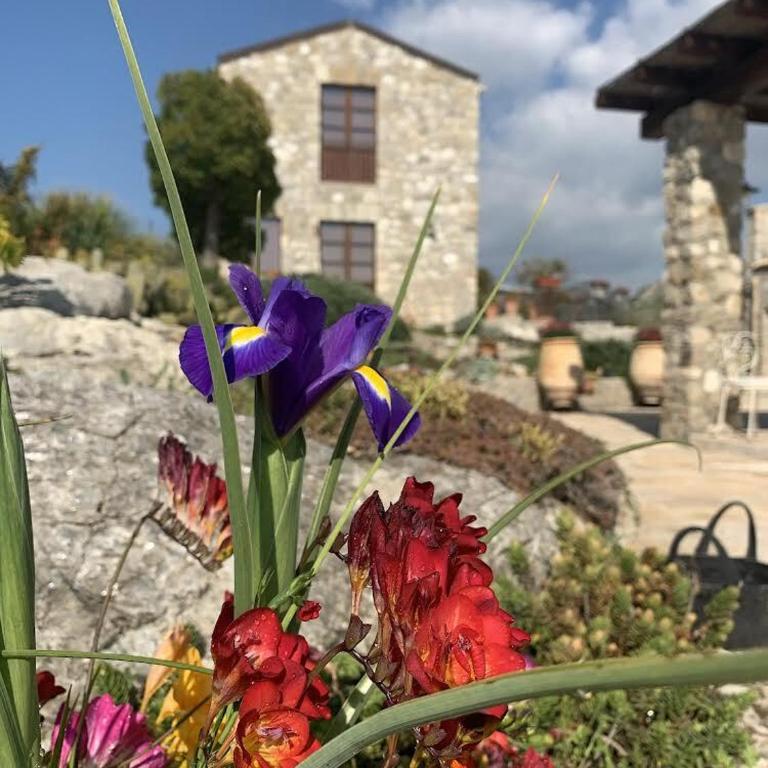 Casa Balata - Casa Vacanze - 4