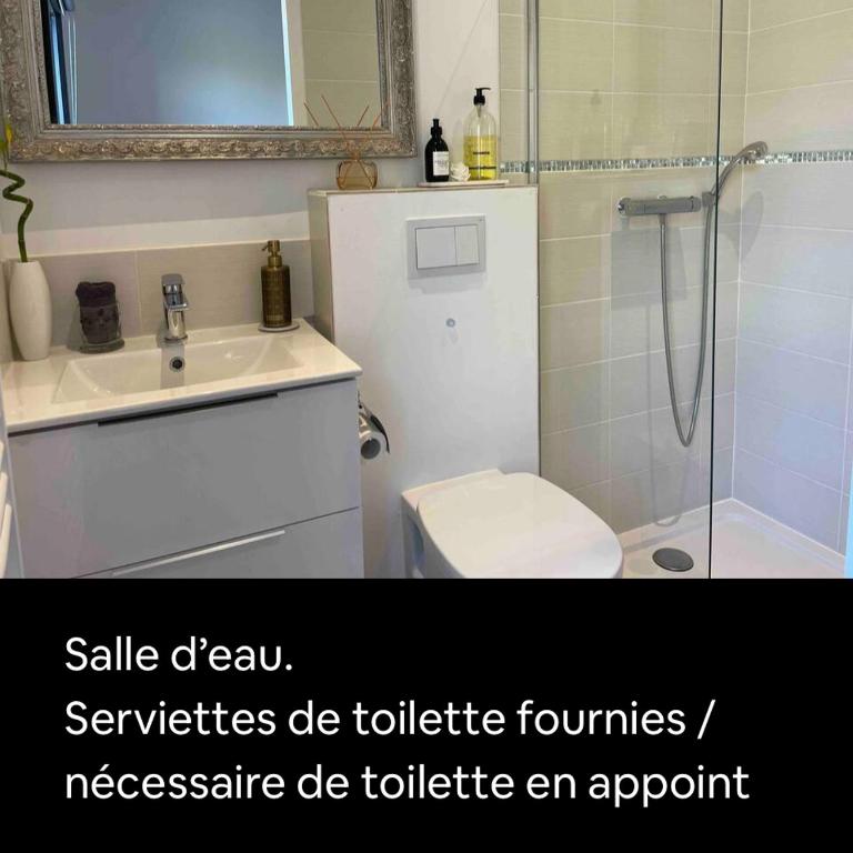 Le jardin Désiris - Logement indépendant avec jardin et parking privé - Maison 1 Chambre - 10