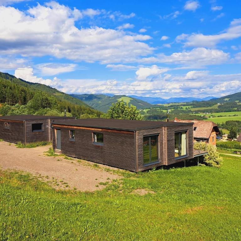 Loft in Gaal near Ski Slope & Hiking Trails - Mobilheim - 20