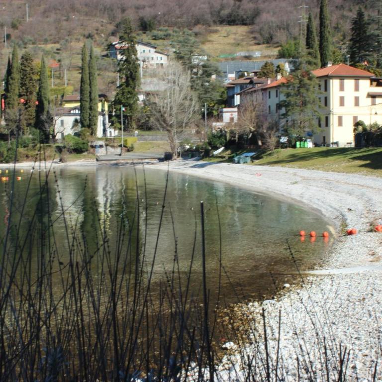 Bellavista garden and flowers - Appartamento con Vista Lago - 24