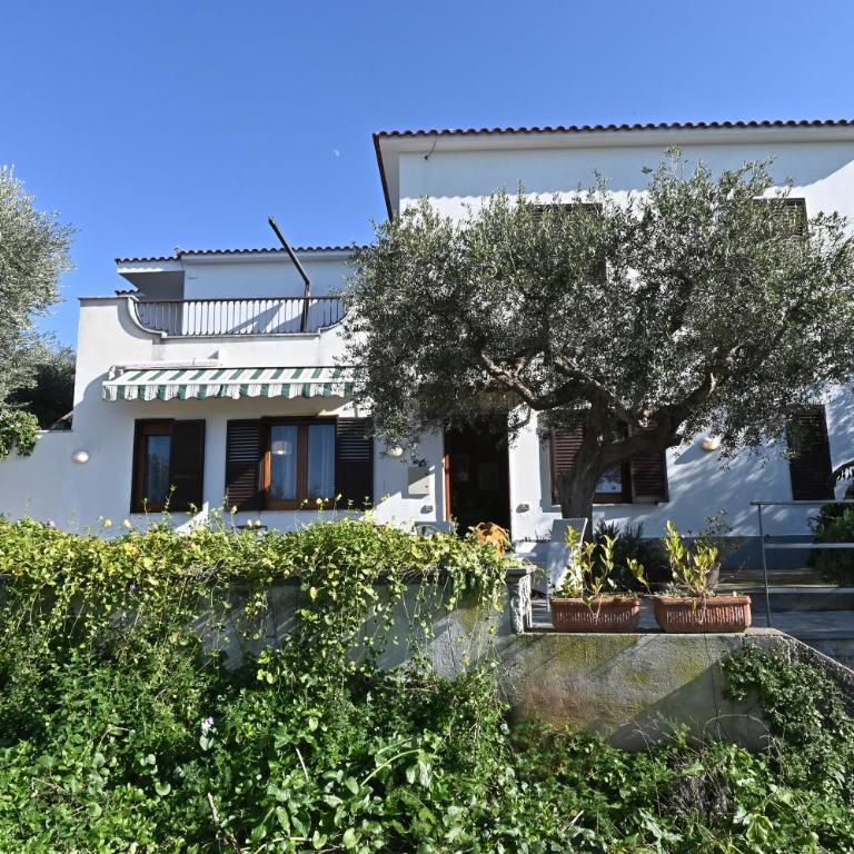 Il Nido del Gabbiano - Apartment with Terrace - 57