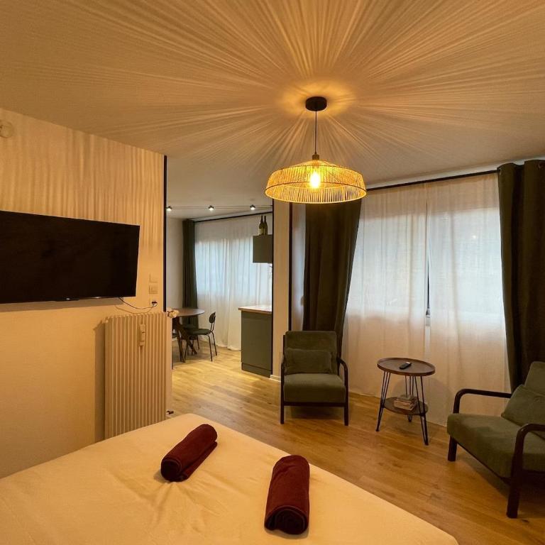 Le Pinot - Centre-ville - Gare à 5 mn - Apartamento de 1 dormitorio - 13