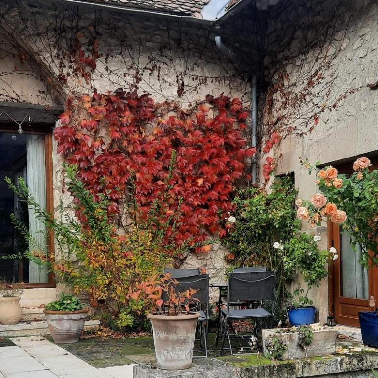 Les Vagabonds du Mont - Chambre Double ou Lits Jumeaux Standard - Vue sur Jardin - 3