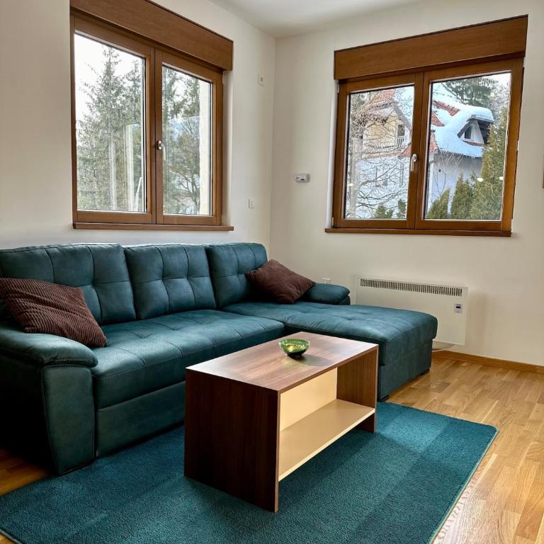 Irena Prestige Forest Resort Wellness i Spa - Apartman sa 1 Spavaćom Sobom - 21