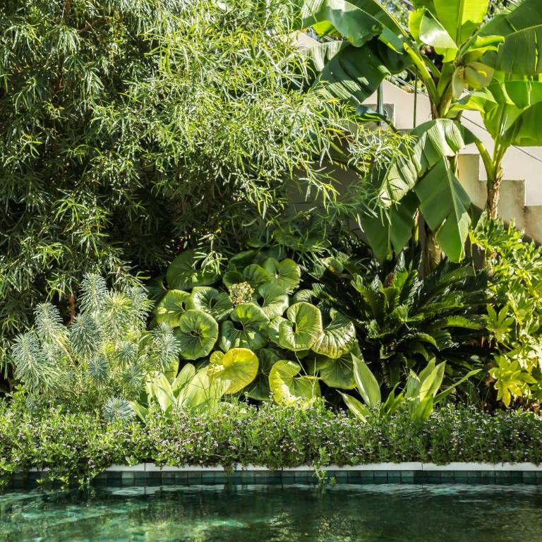 Suites 23 - Chambre Lit King-Size Deluxe - 23