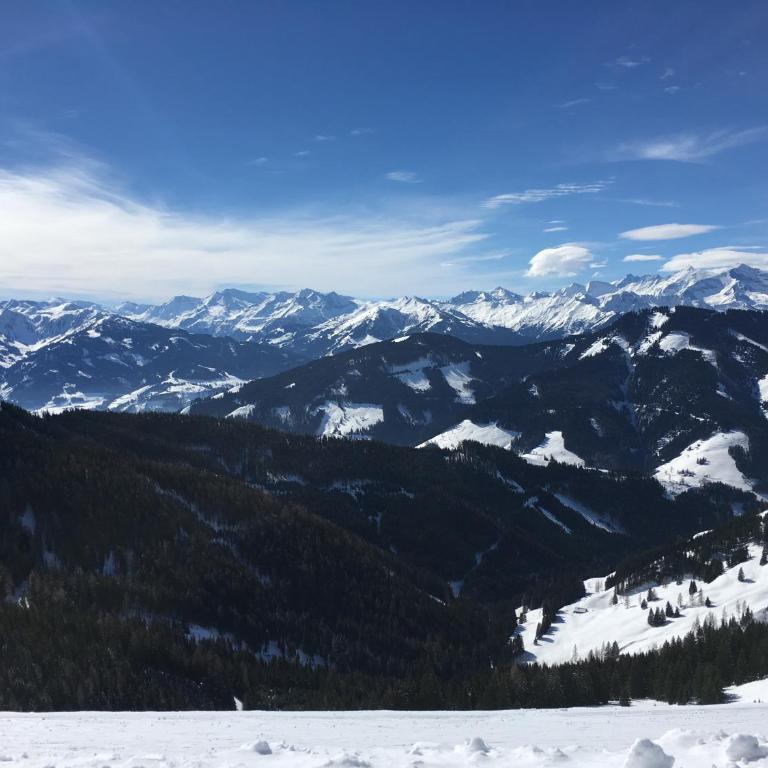 Large spacious apartment, 50m to the ski lift! - Apartment mit 3 Schlafzimmern - 19