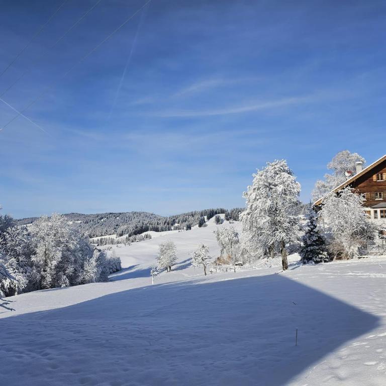 Sonnen-Juwel - Hallenbad, Sauna-2 getrennte Schlafbereiche, inklusive Bettwäsche, Handtücher, tolle Kinderausstattung - Apartment mit Blick auf die Berge - 46