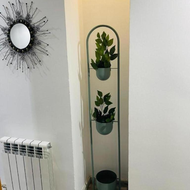 Fabuloso en el corazón de la ciudad y con garaje - Apartamento de 3 dormitorios - 55