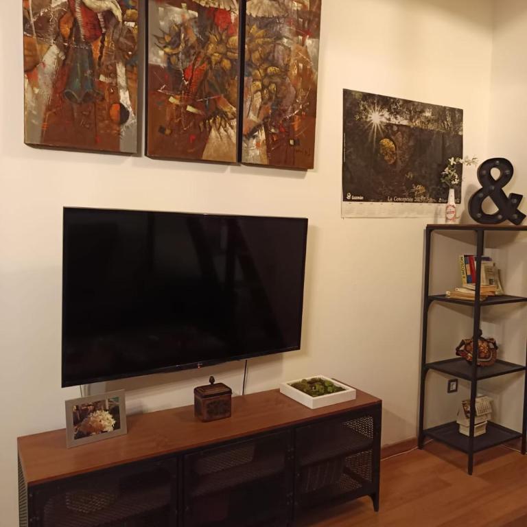 Las tres Biznagas - One-Bedroom Loft - 4