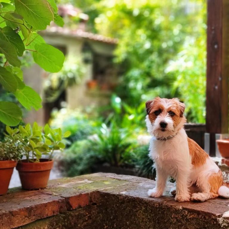 Locanda Bellavita - Casa Vacanze - 17