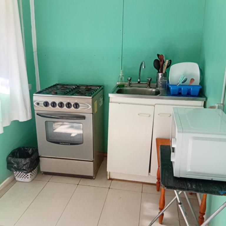Cisnes del Tolten - One-Bedroom Apartment - 3