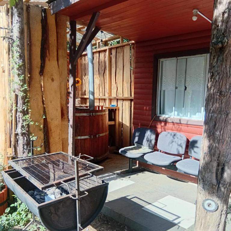 Cisnes del Tolten - One-Bedroom Apartment - 5