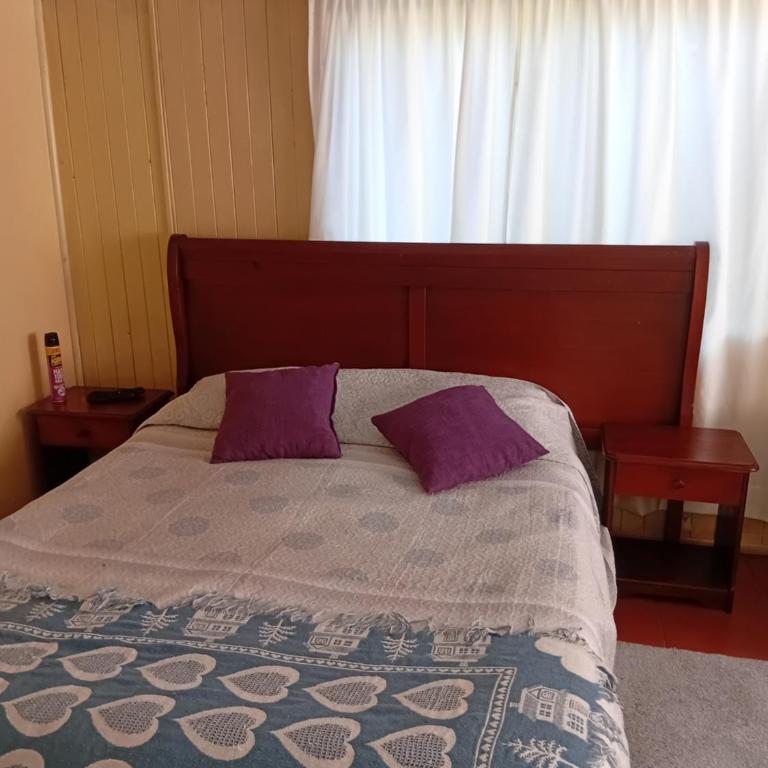 Cisnes del Tolten - One-Bedroom Apartment - 6