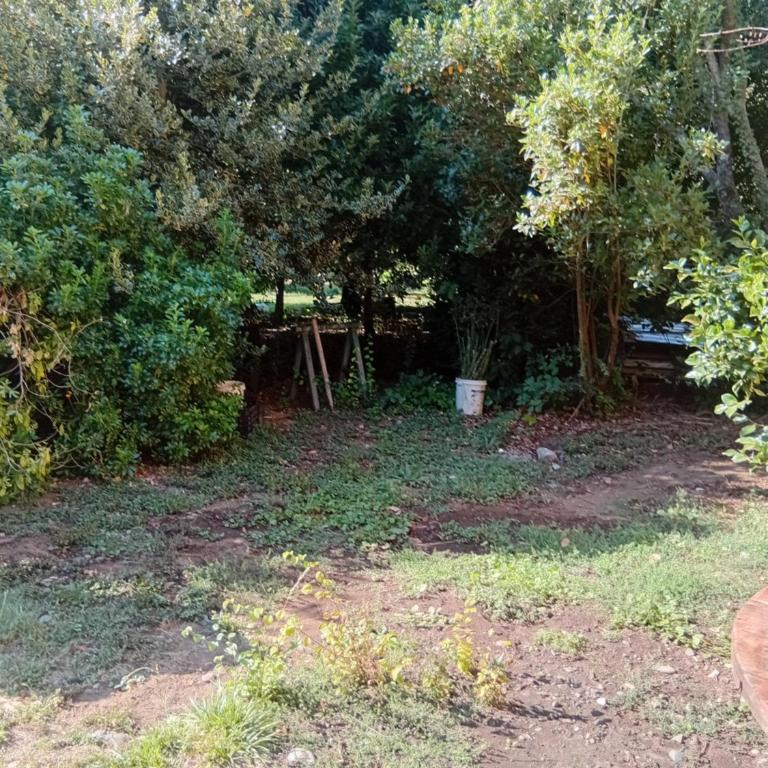 Cisnes del Tolten - One-Bedroom Apartment - 7