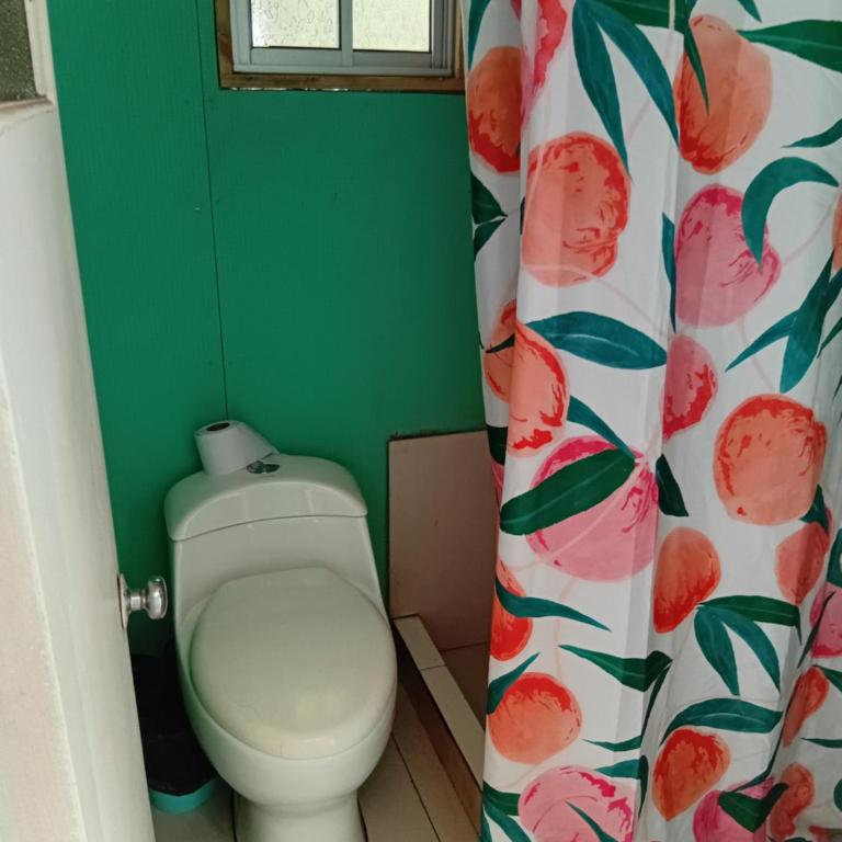 Cisnes del Tolten - One-Bedroom Apartment - 8