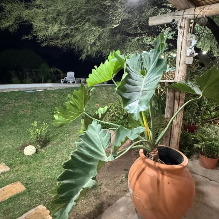 ''Las Anas'' Casa de Campo - Casa de 2 dormitorios - 6