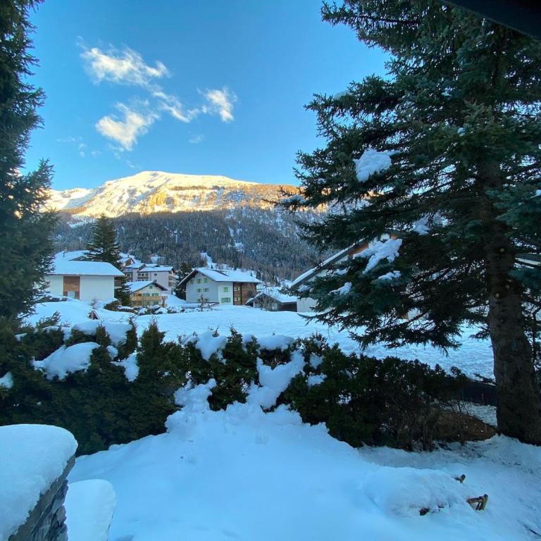 Alis - grosses Chalet, nahe Sportarena und Skilift, bis 9 Personen - Superior Chalet - 20
