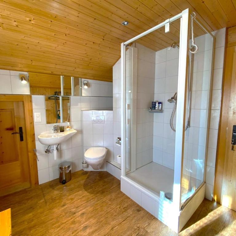 Alis - grosses Chalet, nahe Sportarena und Skilift, bis 9 Personen - Superior Chalet - 25