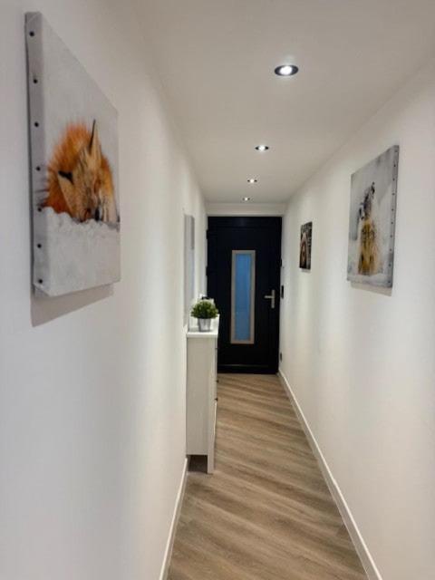 Nouveau T3 RDC 100m du parc - Appartement - 8