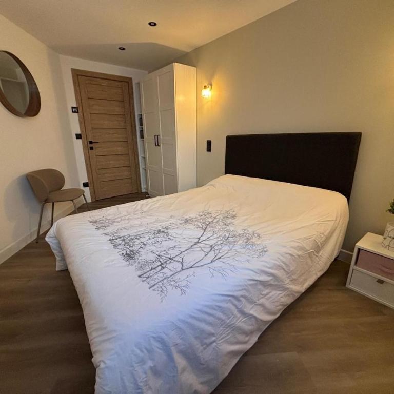 Nouveau T3 RDC 100m du parc - Appartement - 11