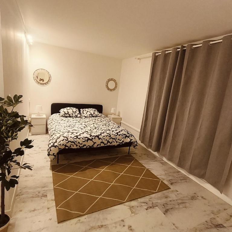 Grand et beau studio de 63 m - Studio avec Lit Queen-Size - 3