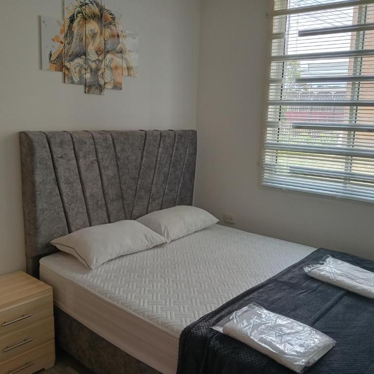 Bello Alamo - Three-Bedroom Apartment with Balcony - 31