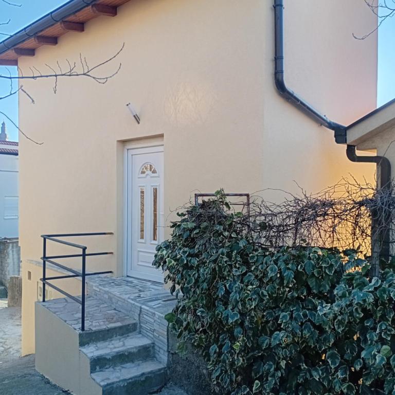 Guesthouse Panorama - Studio Apartment - 18