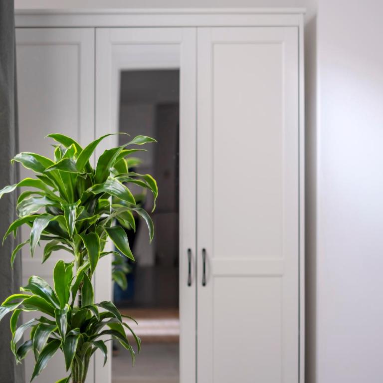 With love, Apartment 4 - Appartamento con 1 Camera da Letto - 23