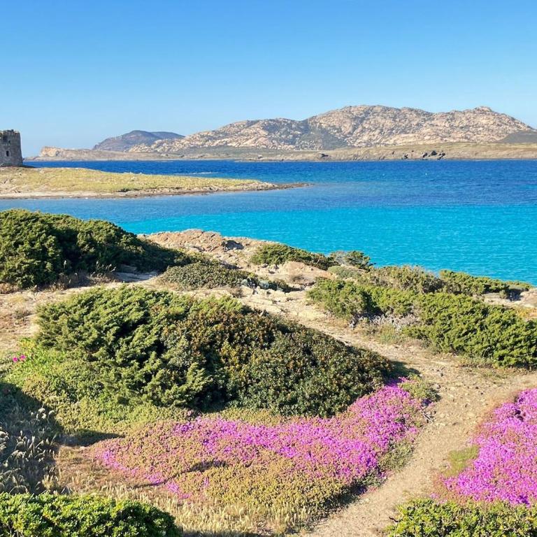 IDA PALACE, nuovo appartamento deluxe fronte mare - Appartamento con 3 Camere da Letto - 2