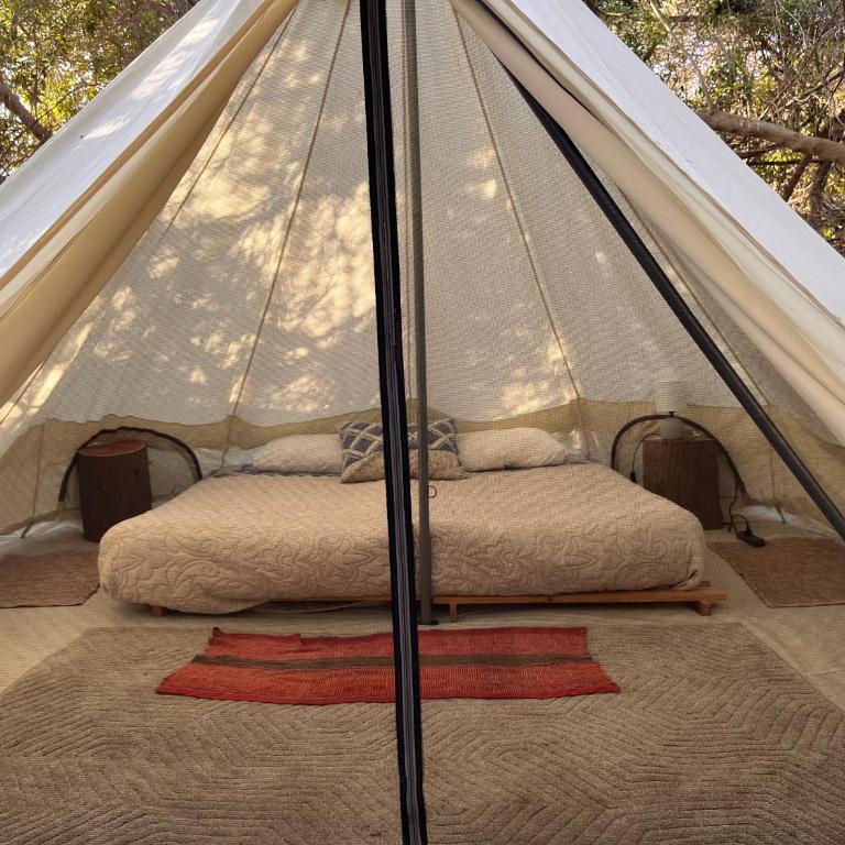 Glamping El Arbol - Naturaleza y Mar - Tent with Extra Large Bed - 5