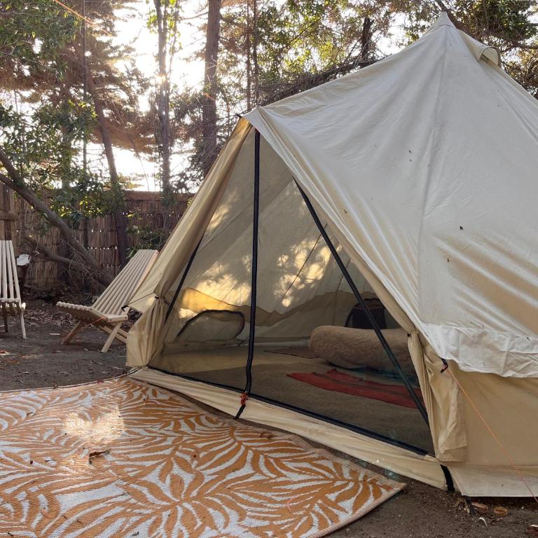 Glamping El Arbol - Naturaleza y Mar - Tent with Extra Large Bed - 3