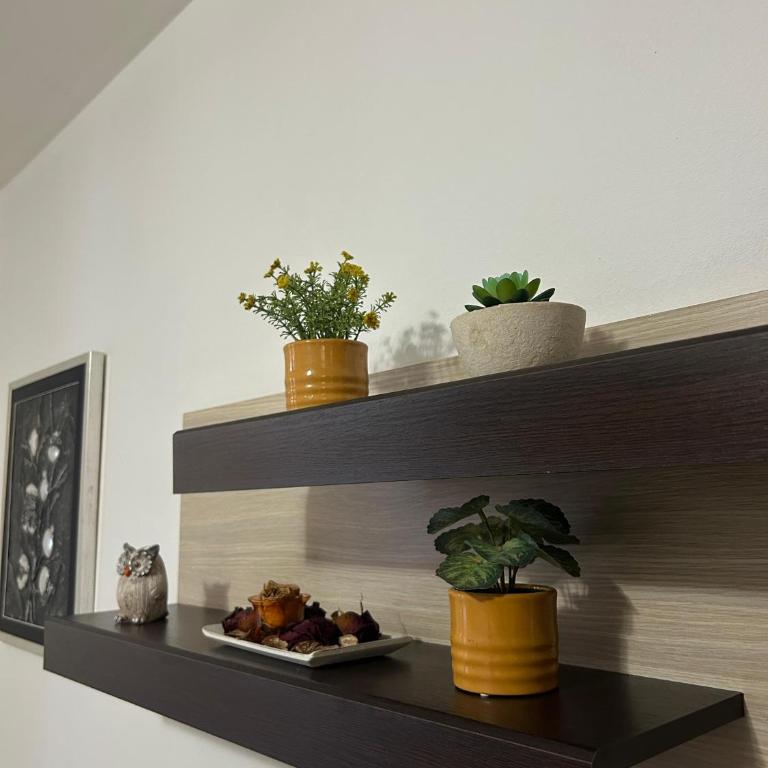 Apartment Teta - Apartman sa 1 Spavaćom Sobom - 3